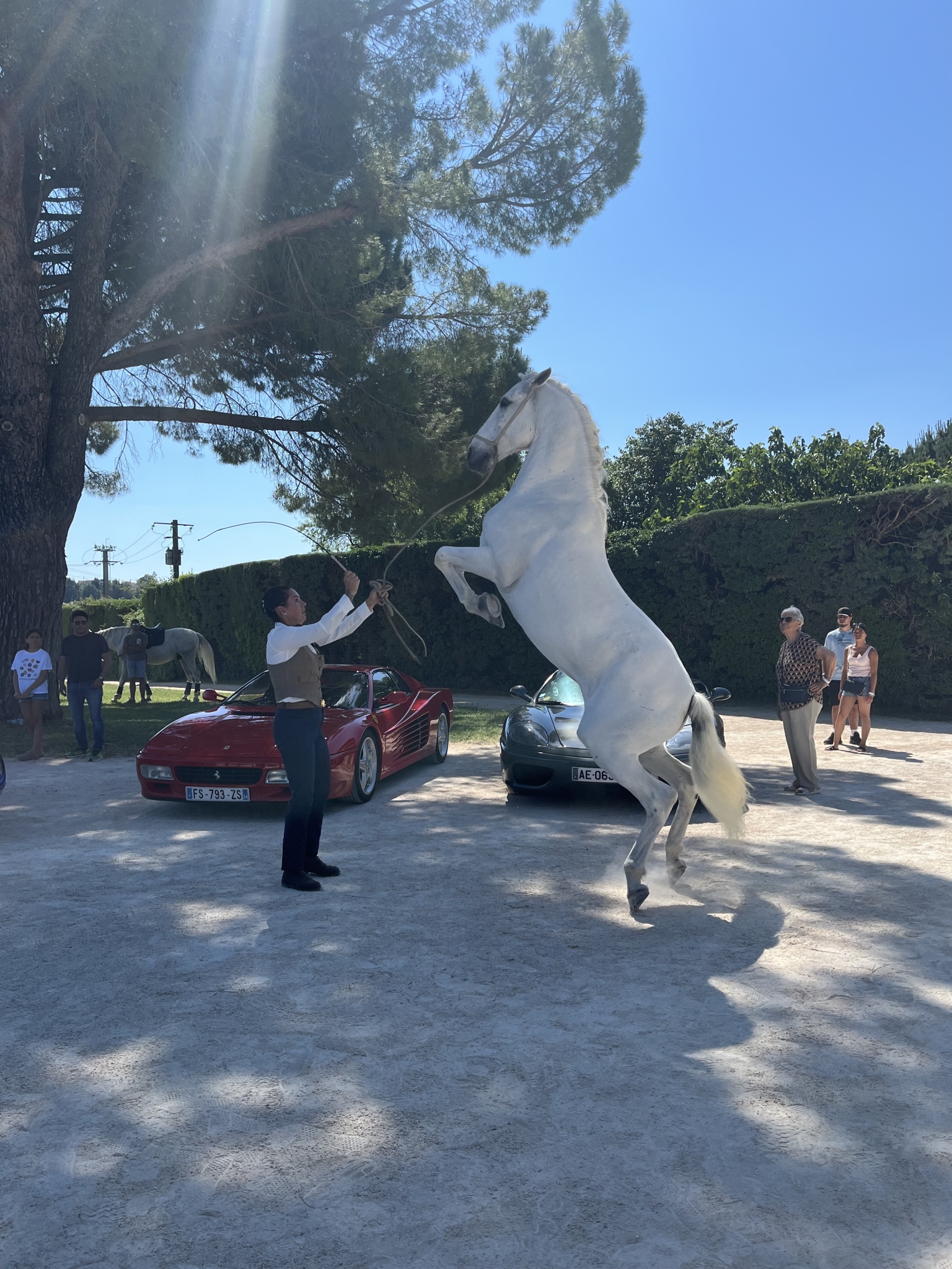 IMG_3517.jpeg