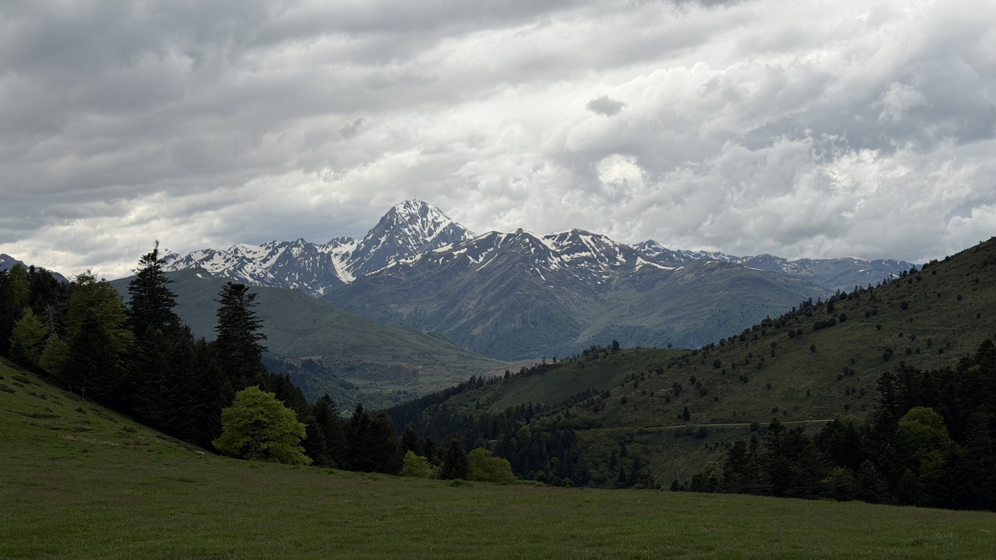 IMG_4562.jpeg