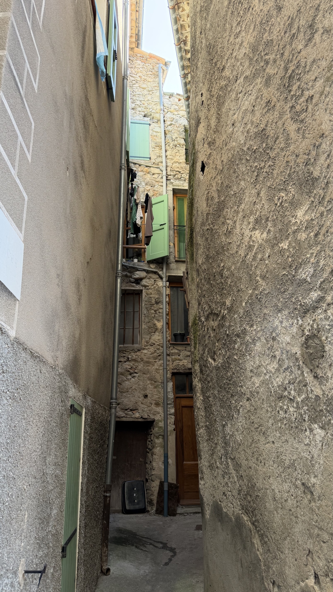 IMG_5533.jpeg