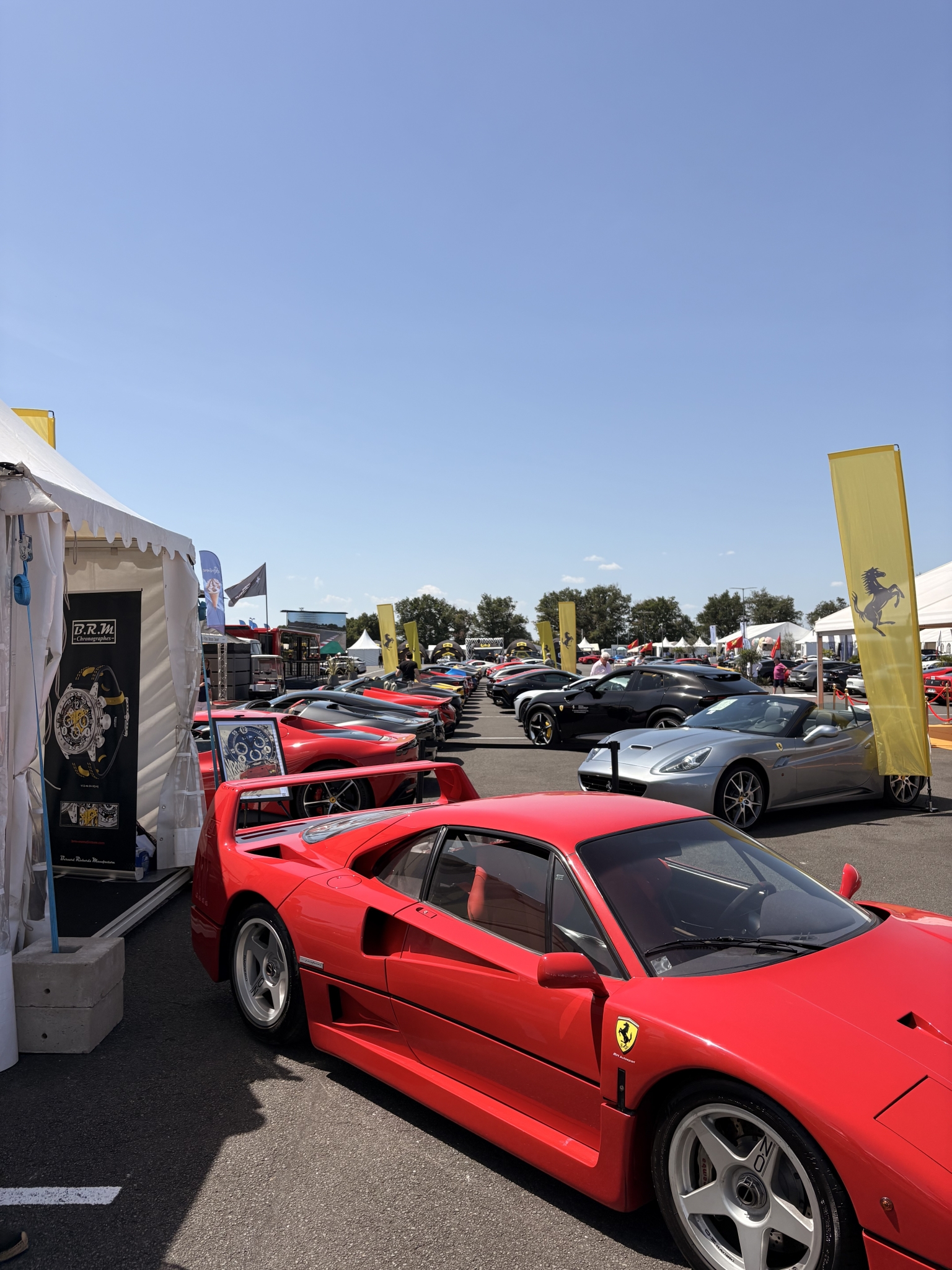 IMG_6676.jpeg