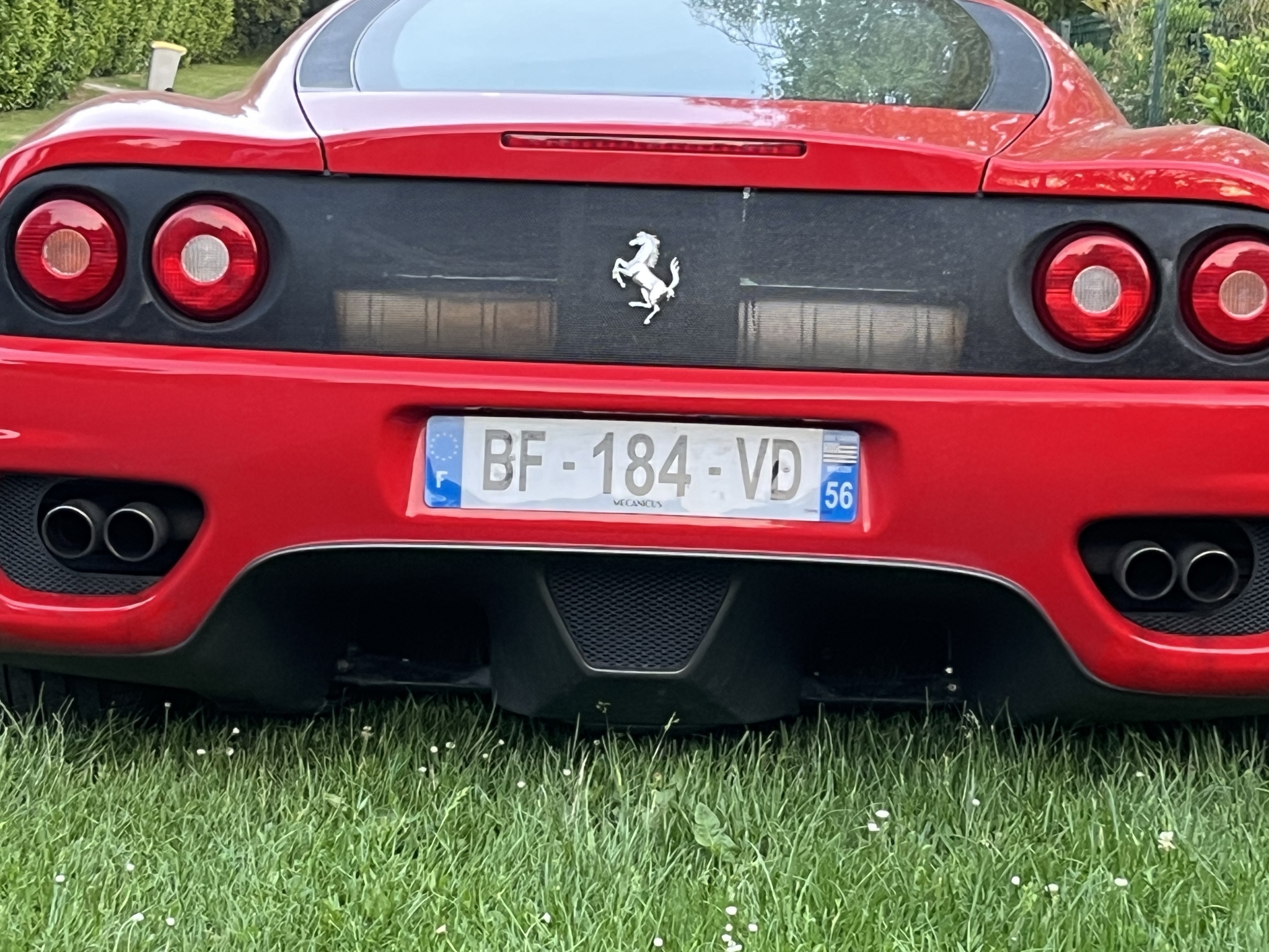 IMG_6970.jpeg