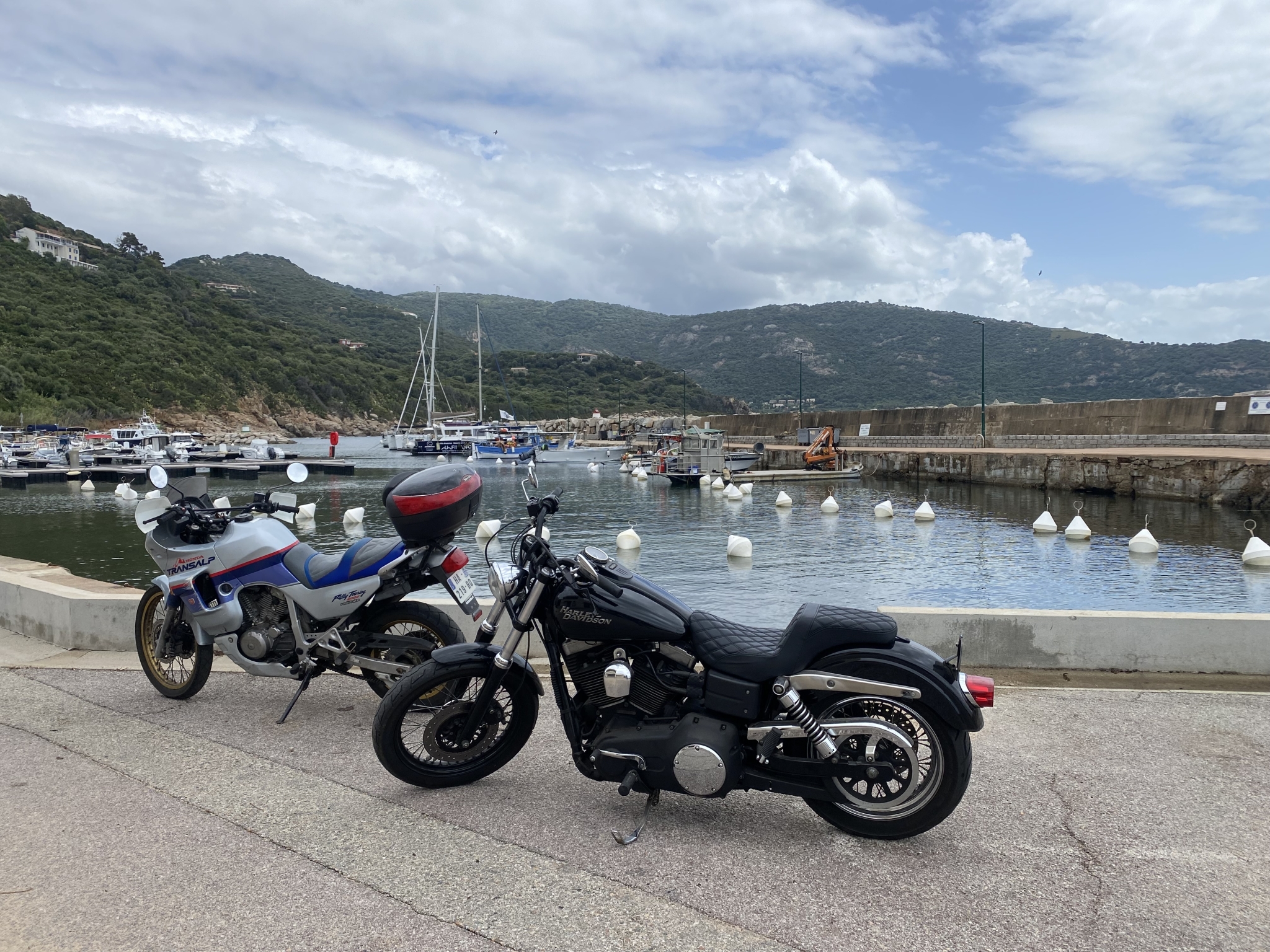 IMG_9566.jpeg