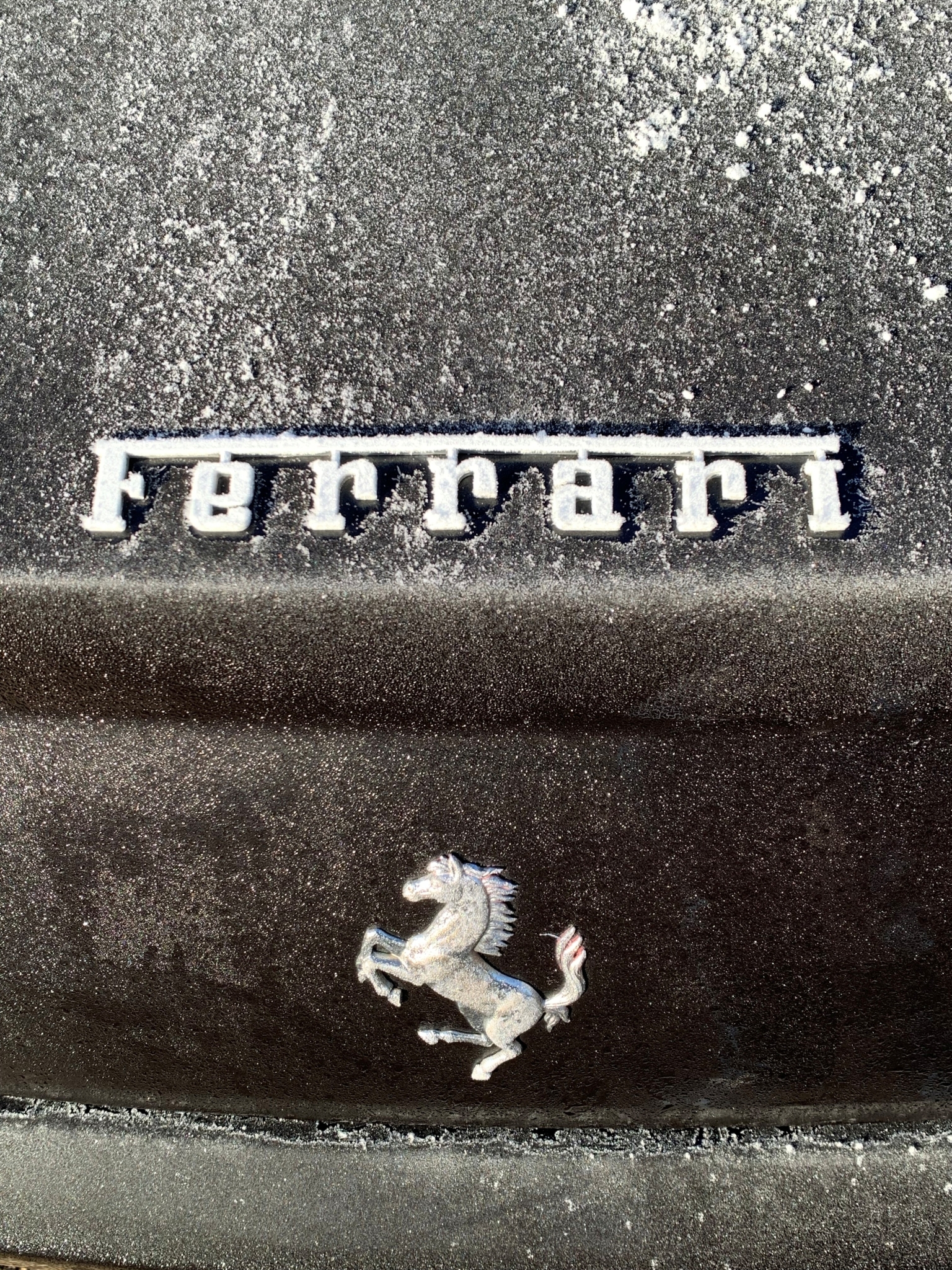 456.freeze.jpg