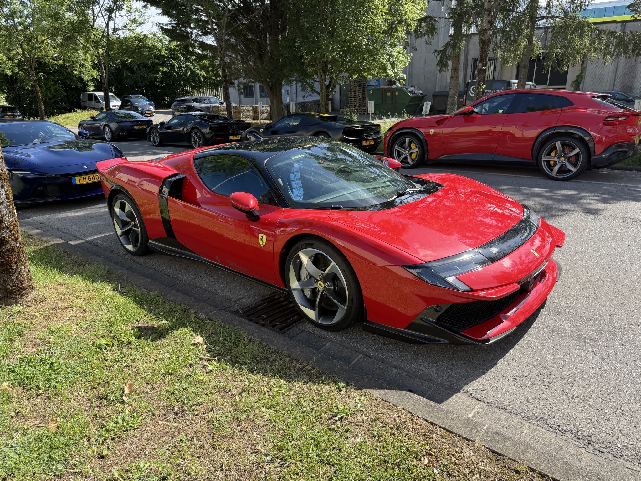 IMG_4095.jpeg