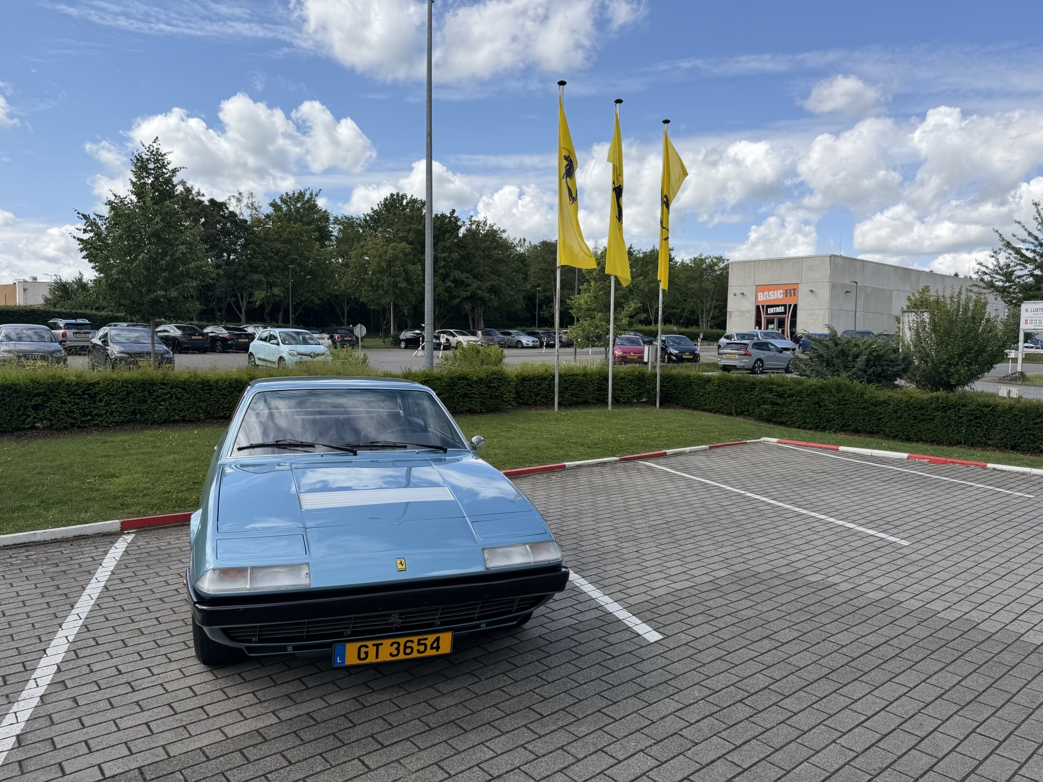 IMG_4147.jpeg