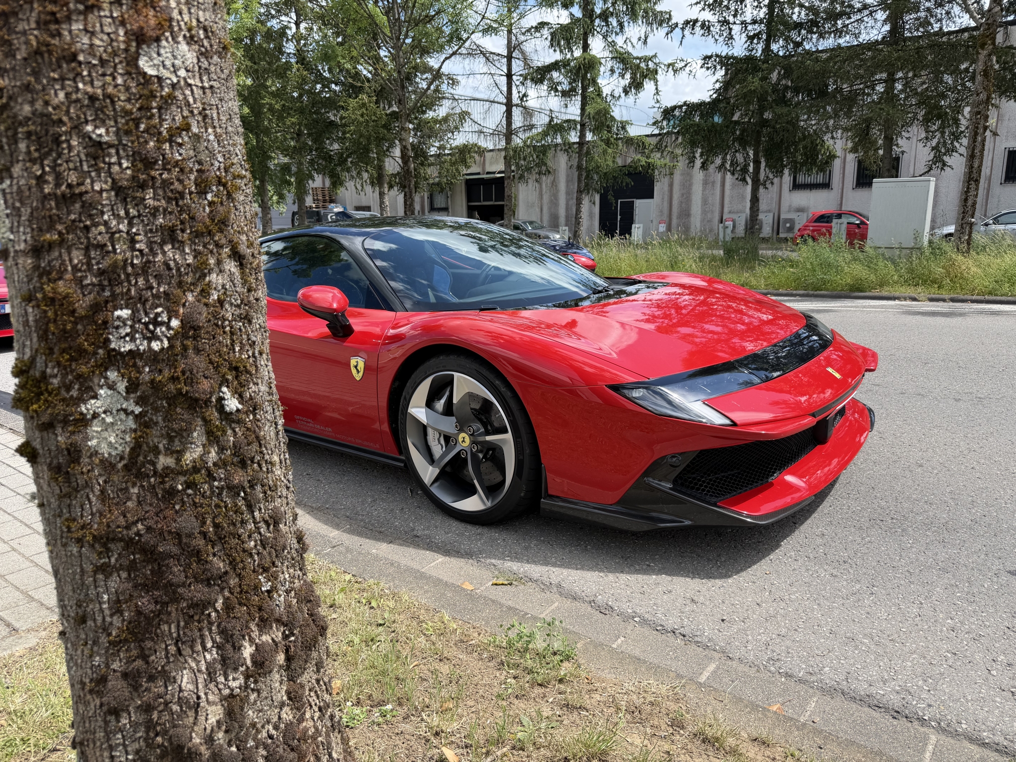 IMG_4161.jpeg