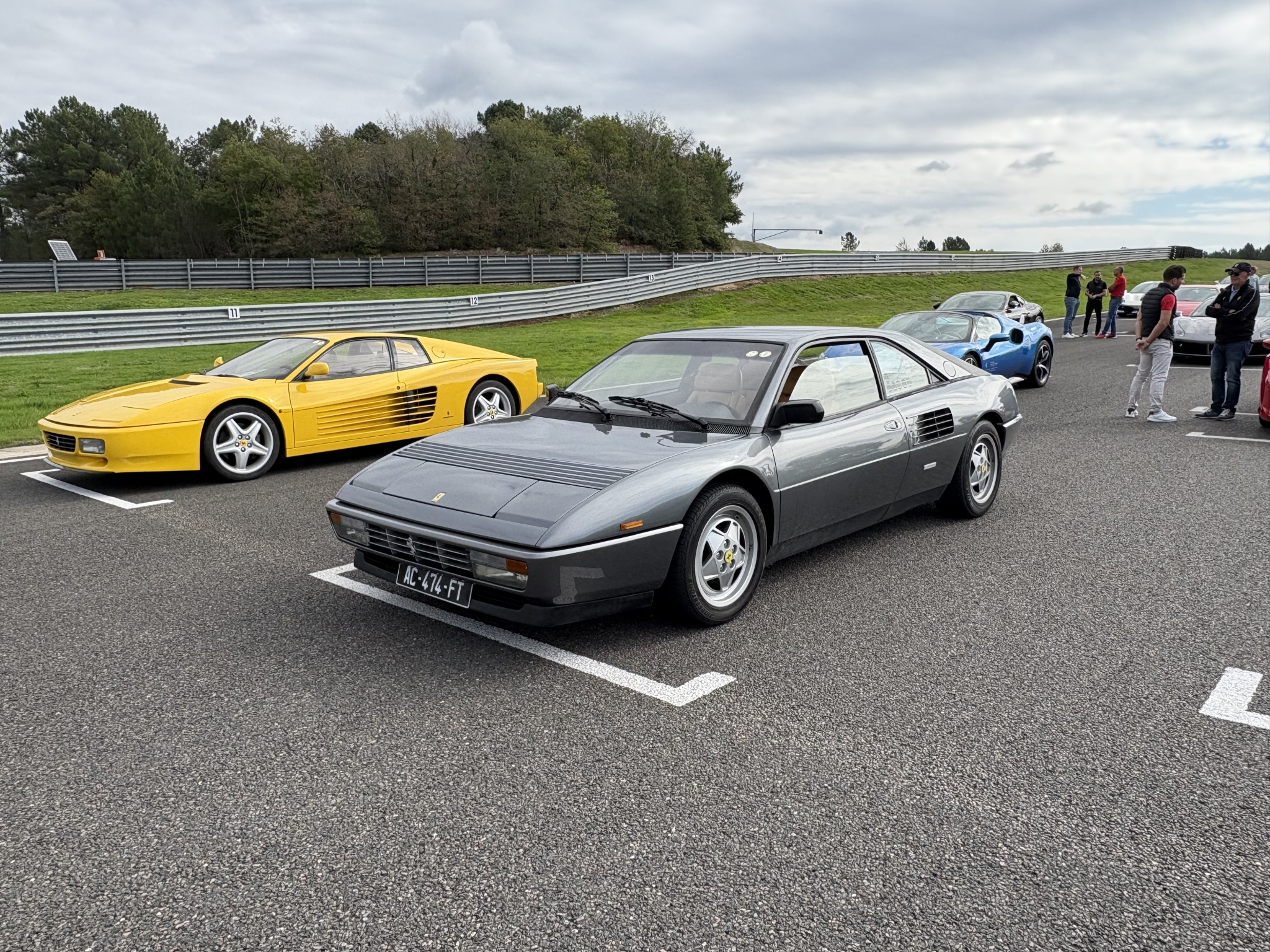 WE Ferrarista 2.jpg