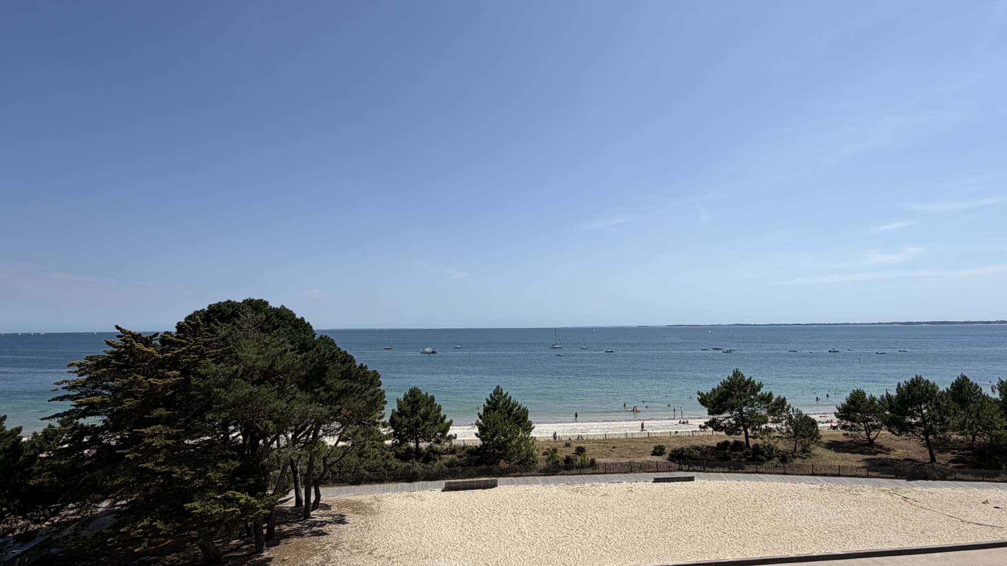 IMG_6254.jpeg