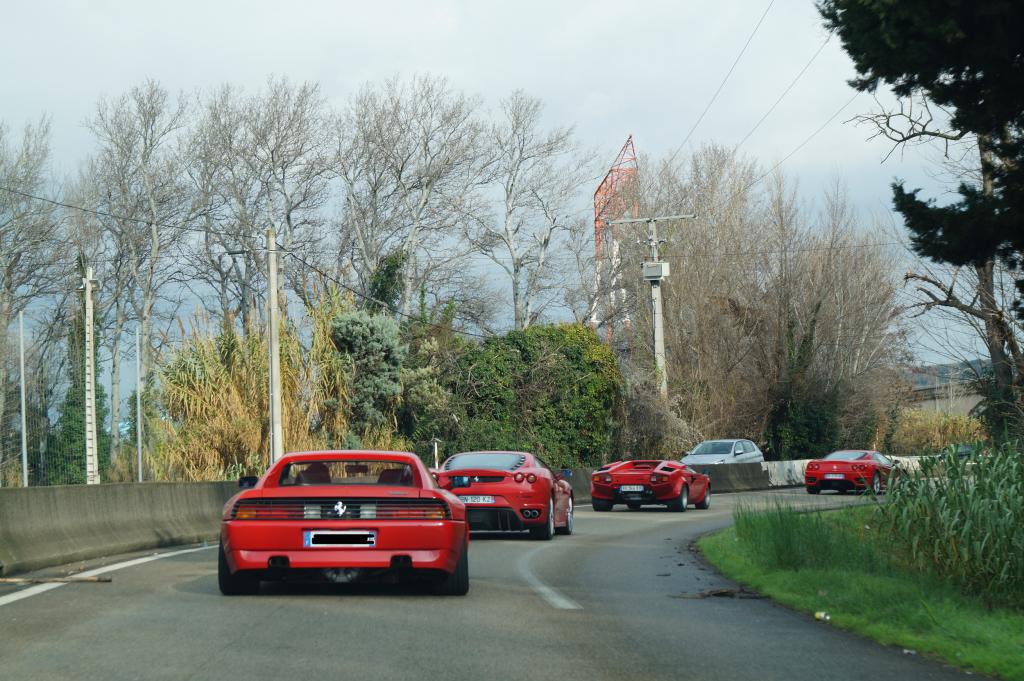DSC05960.jpg