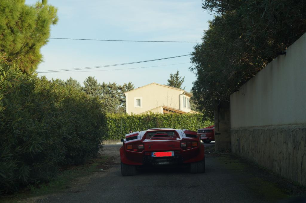 DSC05975.jpg