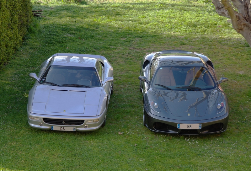 daisieR.jpg.0ef3b45535b54099dd4290b85504