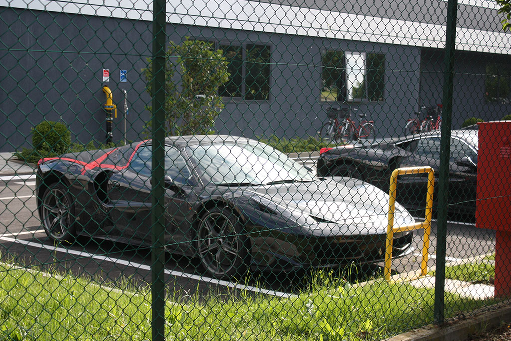 Proro458.jpg