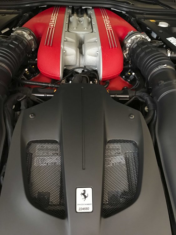 F12 TDF (4 of 7).jpg