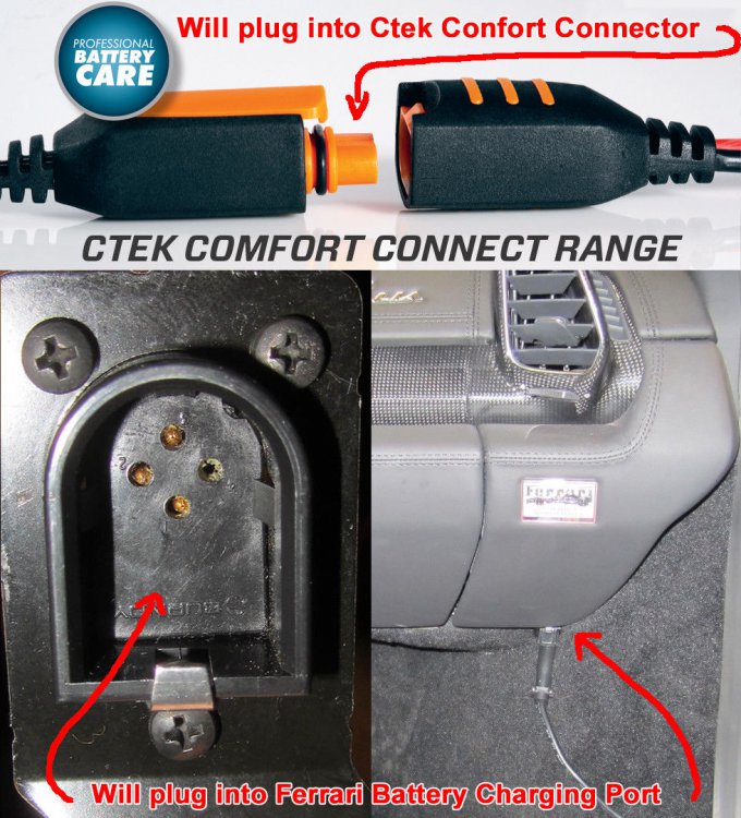 ctekFA1.thumb.JPG.df00c465d6727b4f834ad745c8d7e280.JPG