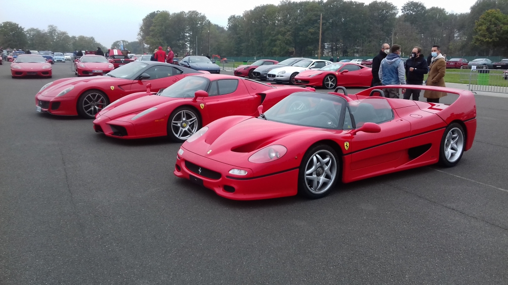 F50 ENZO 599GTO (1).jpg