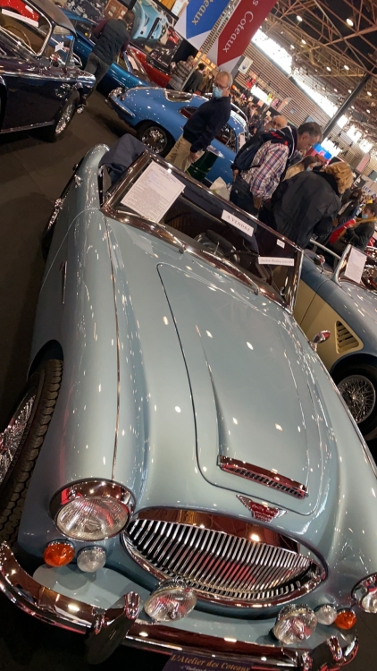 12690793-6731-4F53-A4C0-B16F9839AE91.thumb.jpeg.dc495cb400ab554255eab2d9410db605.jpeg
