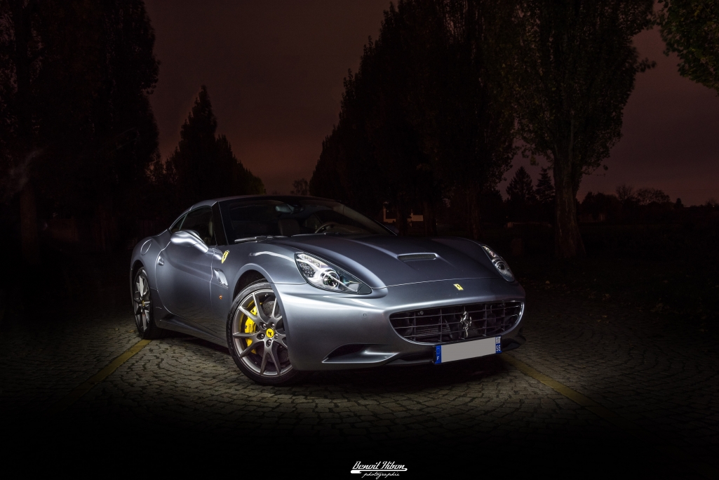 DSC_9094t.jpg