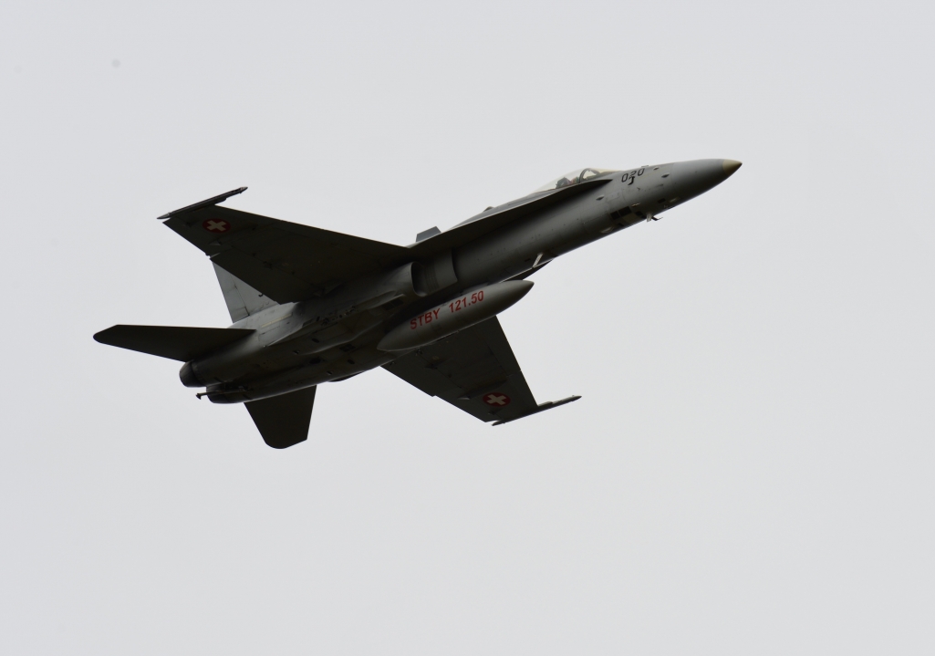 _DSC4886.thumb.JPG.a680f139583a9c41a5f44a8163fec973.JPG