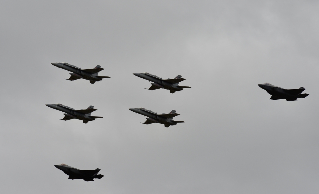 _DSC5118.thumb.JPG.ba55b6236e764034ac4f6981f5a7f98c.JPG