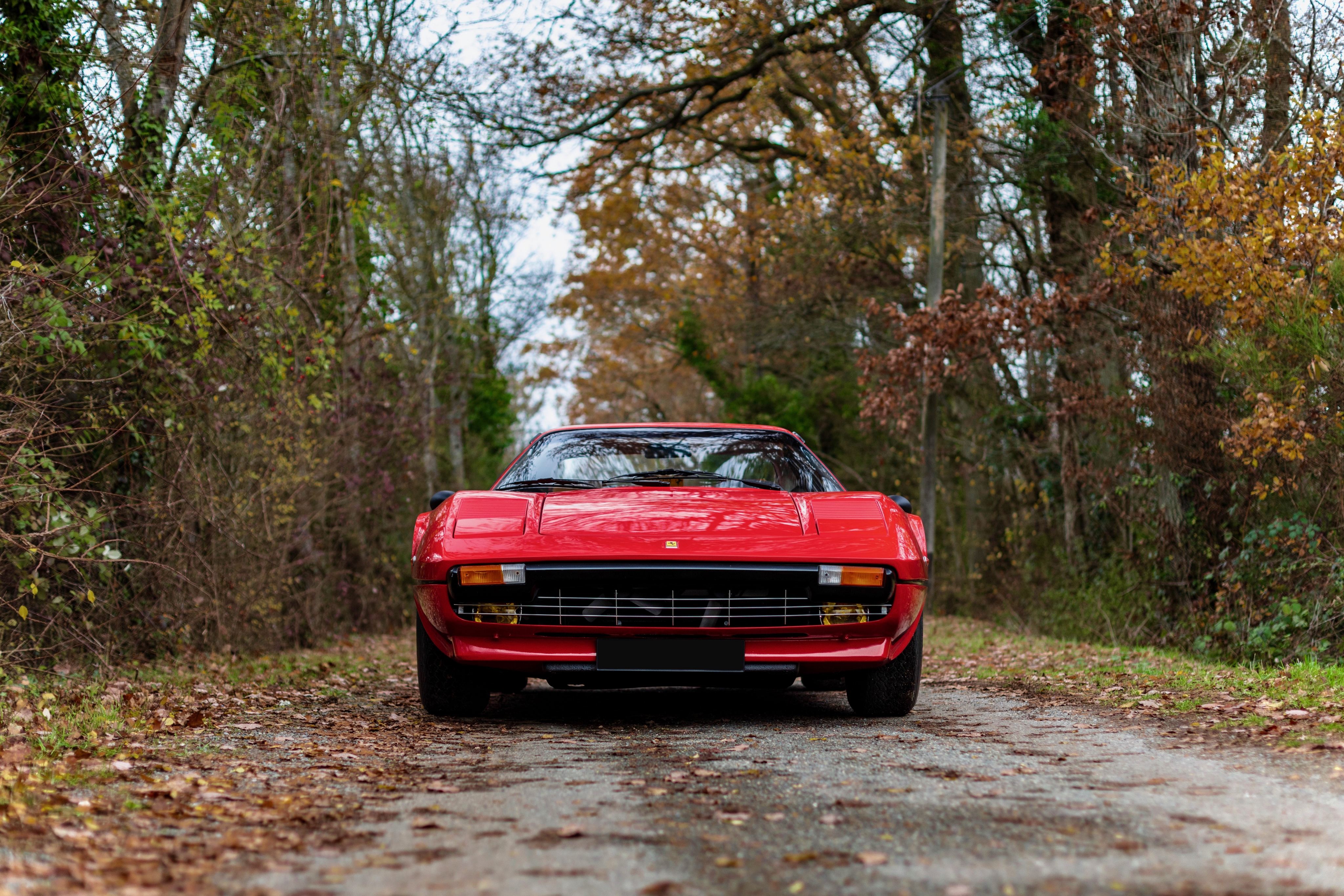 1989337557_1978Ferrari308GTB-Straderial-4sur34.thumb.jpeg.ac9e025ff60b2d690f75ff5f862fd9d7.jpeg