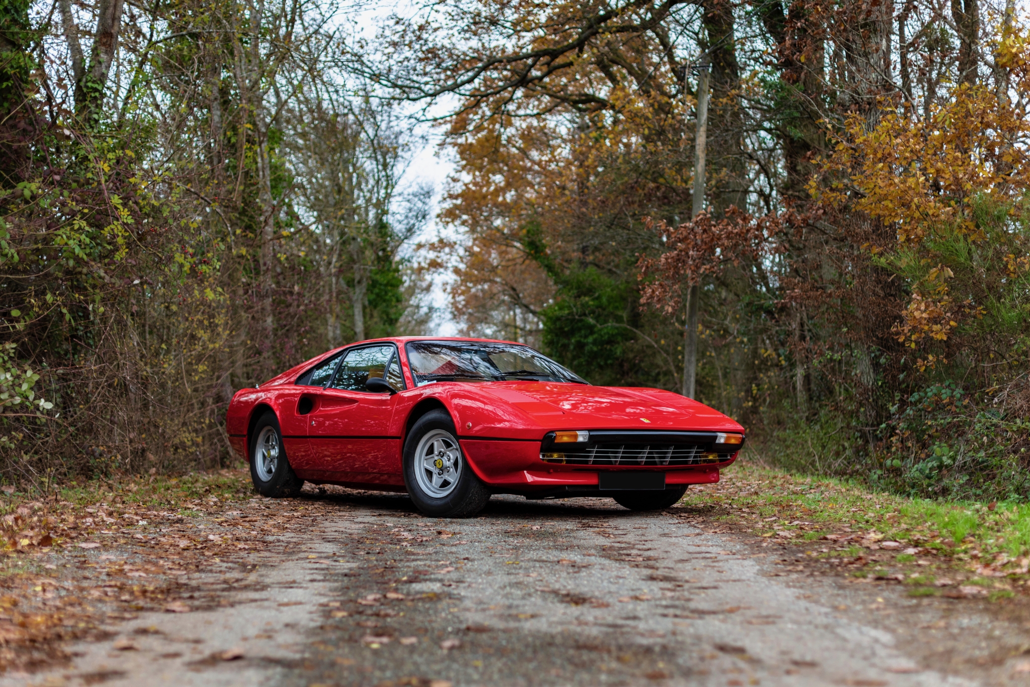 1848441502_1978Ferrari308GTB-Straderial-5sur34.thumb.jpeg.99f08cb47619dc8245dea1f6c667fb94.jpeg