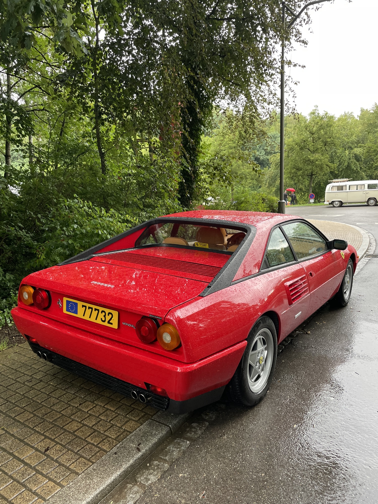 IMG_3254.jpeg