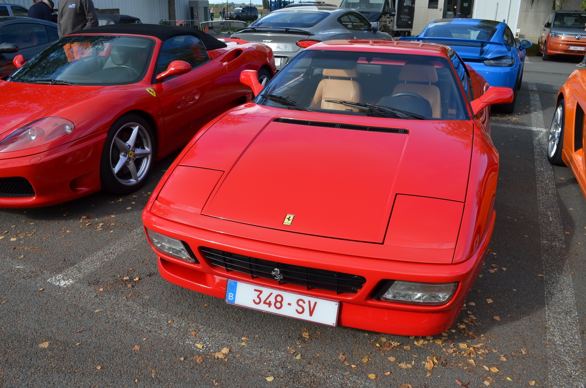 DSC_2490.thumb.JPG.c8589d4f92dde74fadb5c5d9d7bd7cd8.JPG