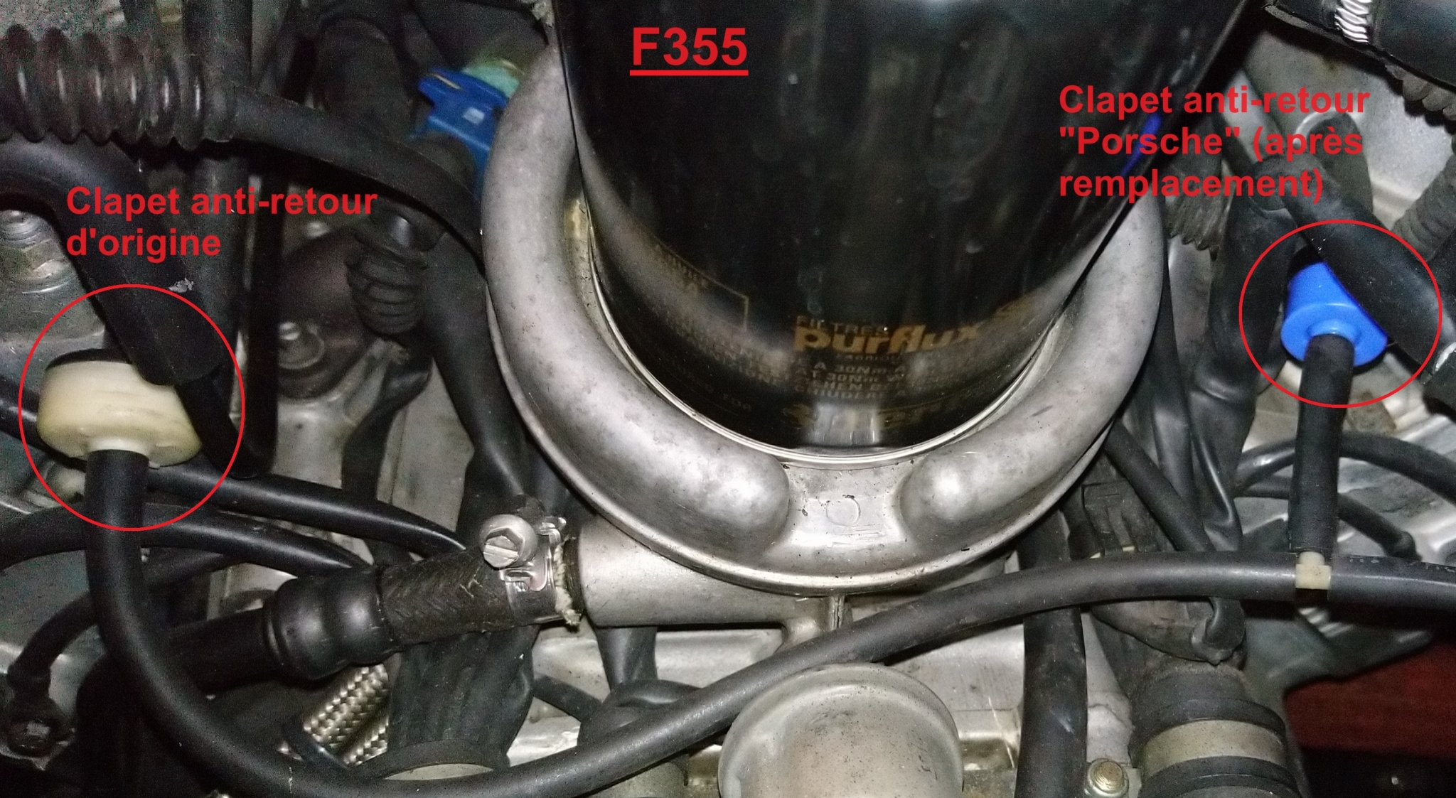 F355_Toscano.thumb.JPG.6d0ae193a94e5a769fcd9b43338666a4.JPG