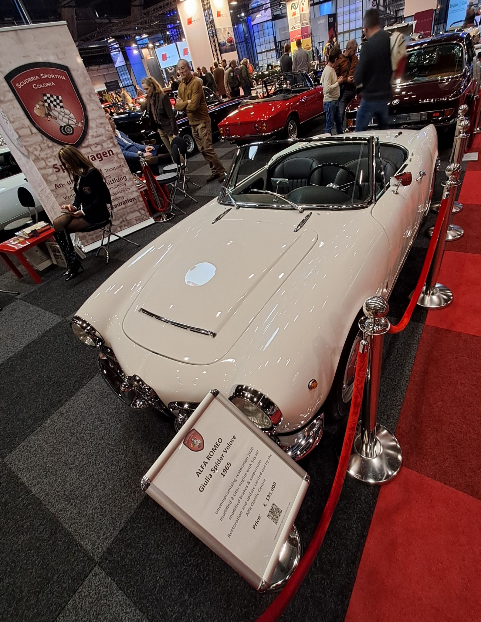 GIULIA_SPIDER (2).jpg
