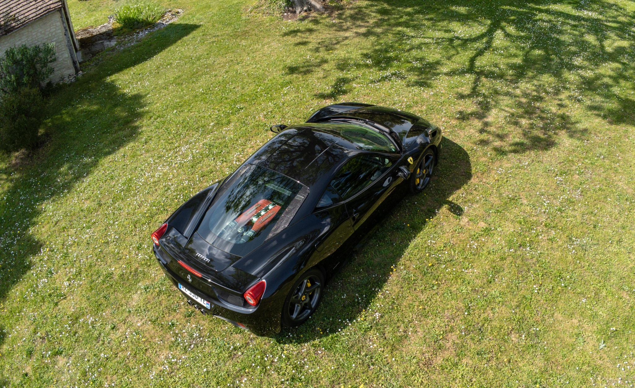 P1730173.jpg