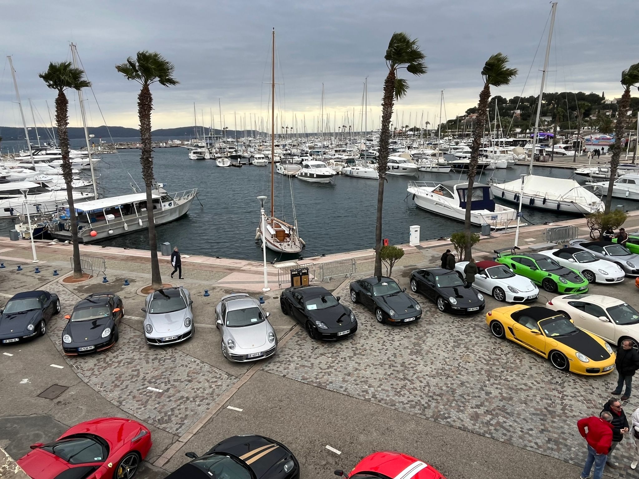 346022447_Cavalaire(6).jpg.8e59d8319fc40a361b16a8ea759de40f.jpg