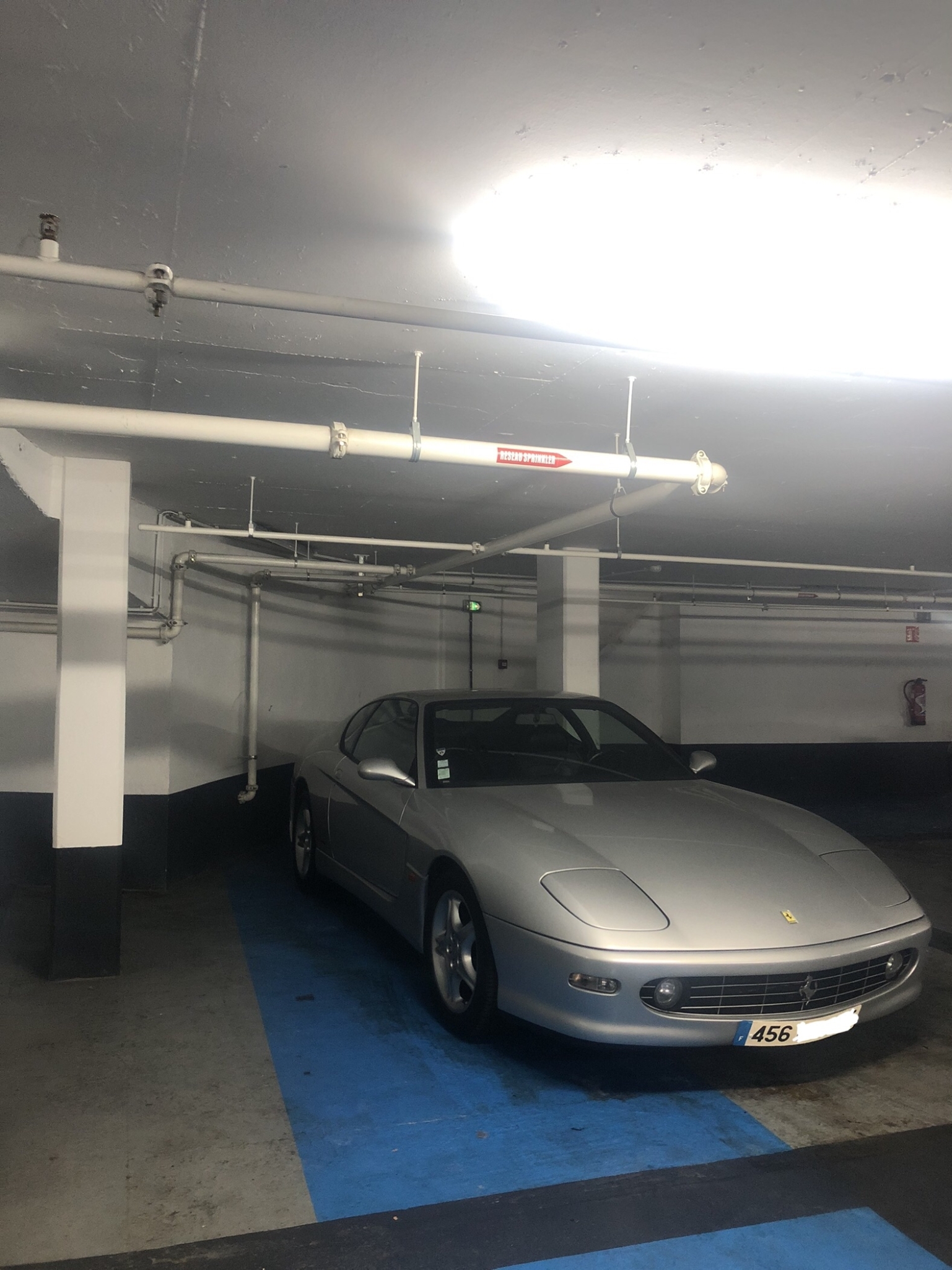 IMG_6445.jpeg