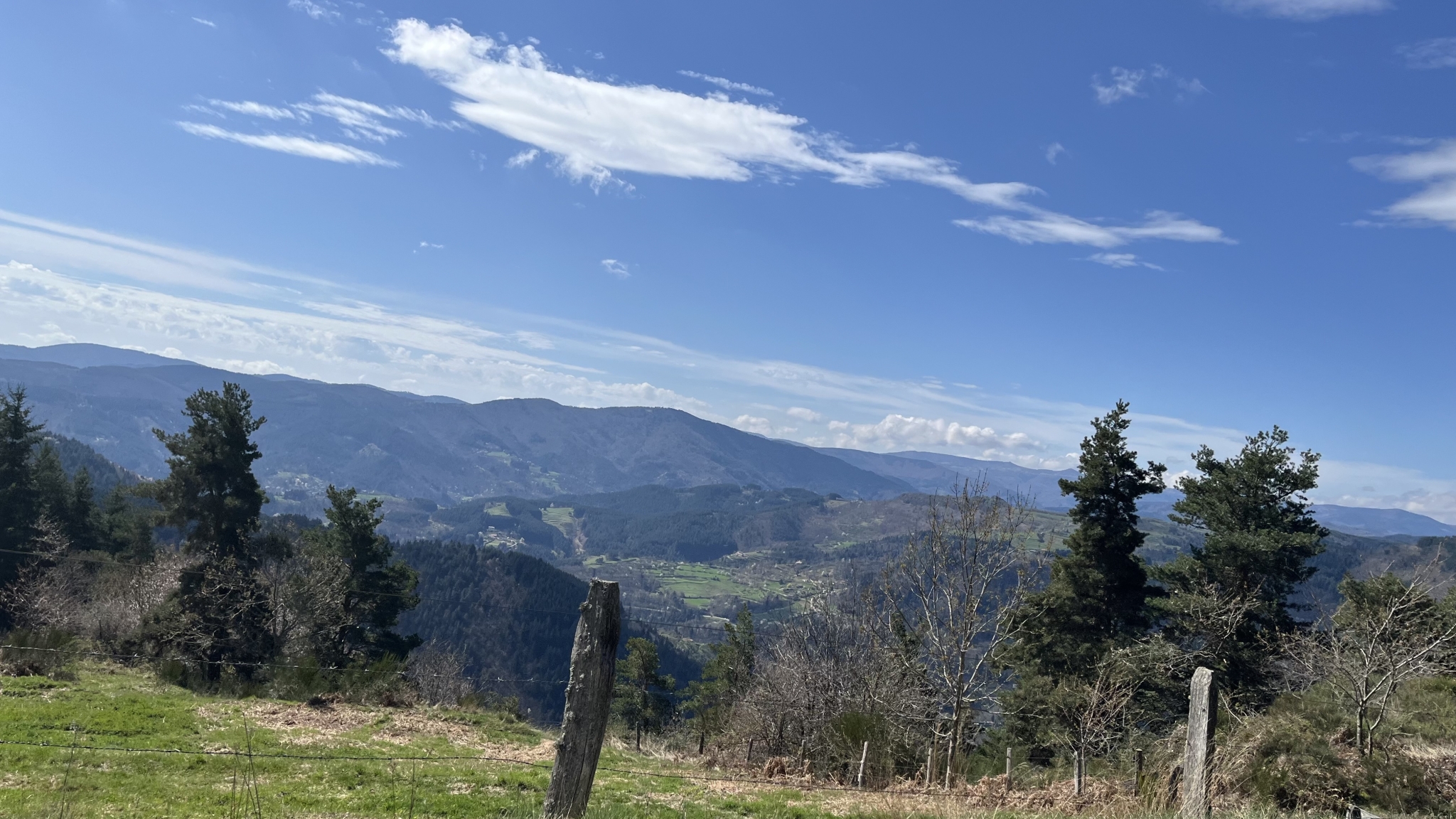 IMG_8715.jpeg
