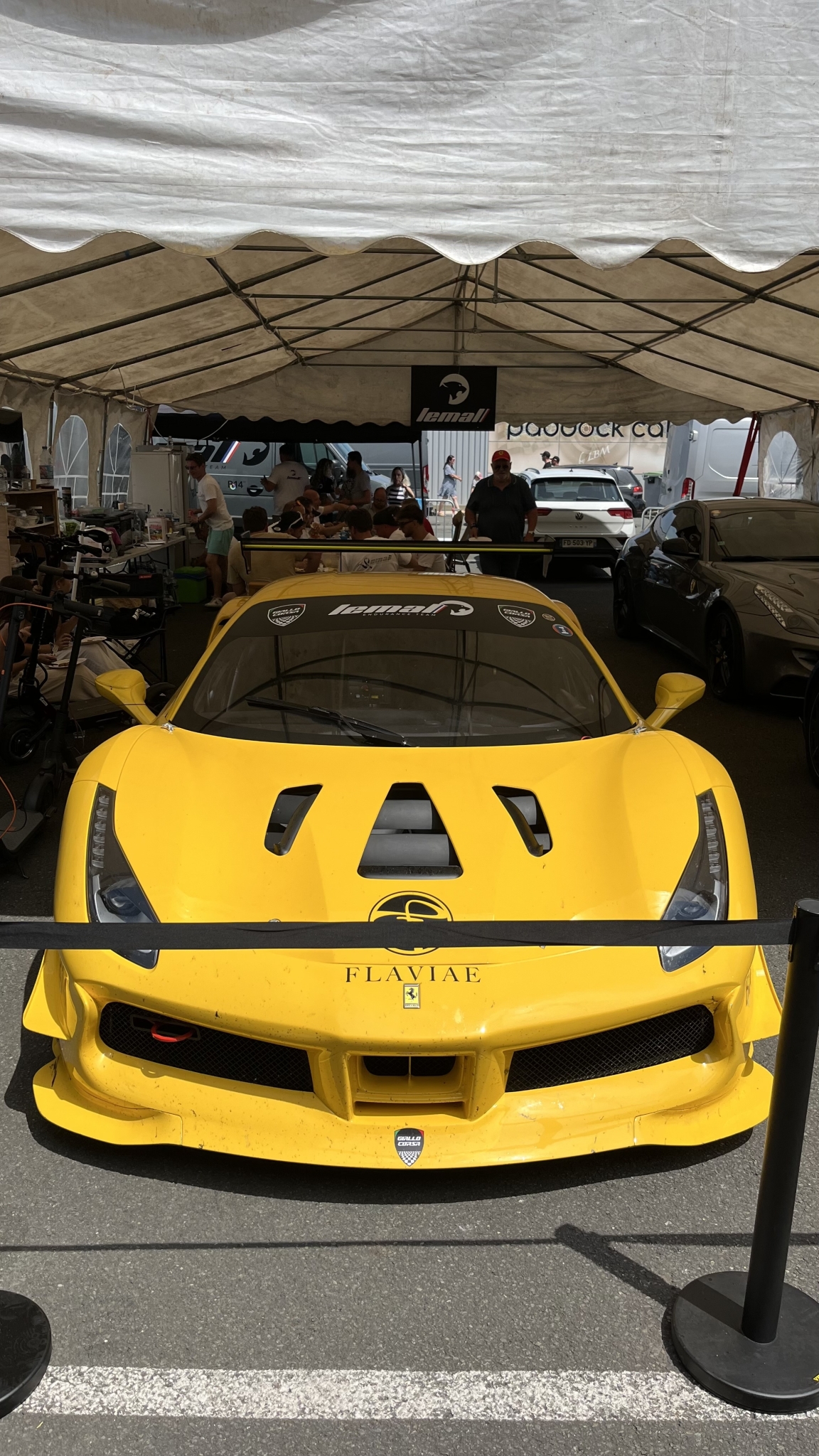 IMG_2312.jpeg