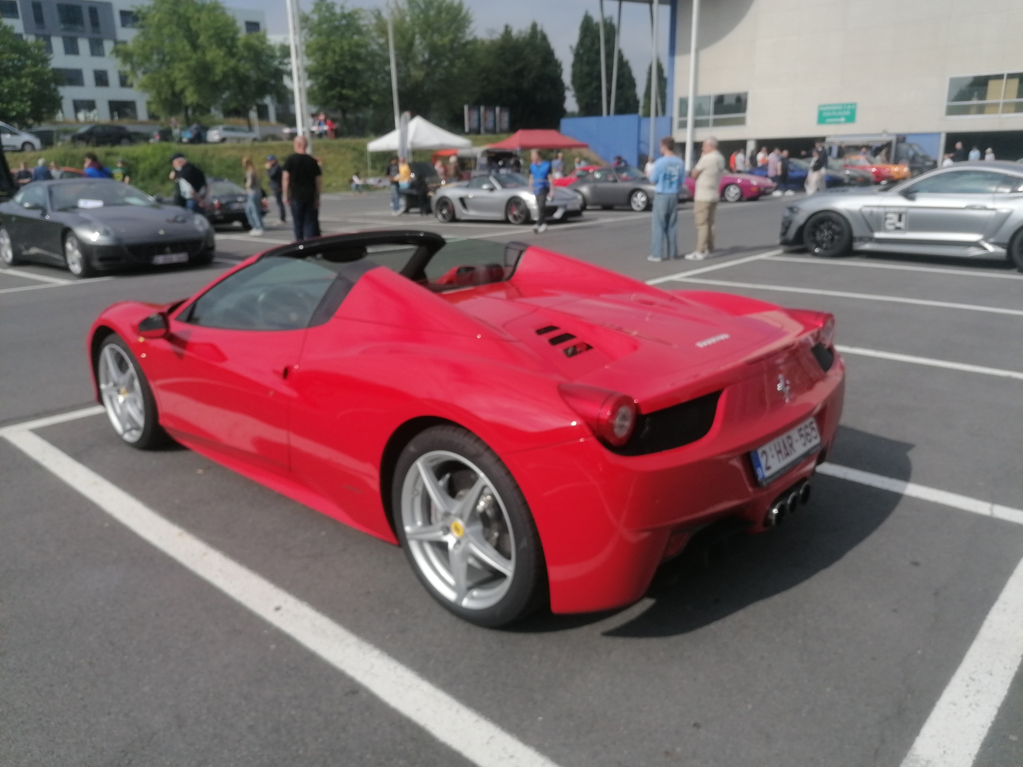 IMG_20250713_101305.thumb.jpg.87e3b933de3f0170453552a5325e9eea.jpg