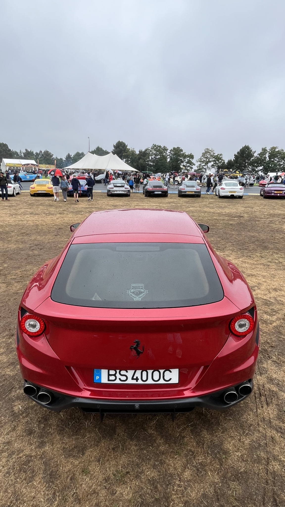 IMG_2896.jpeg