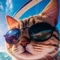 Chaton